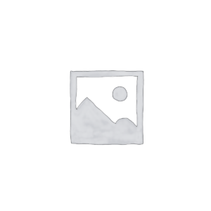 Reparar iPod Touch
